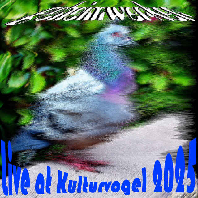geheimWERKER (Live at Kulturvogel 2025)